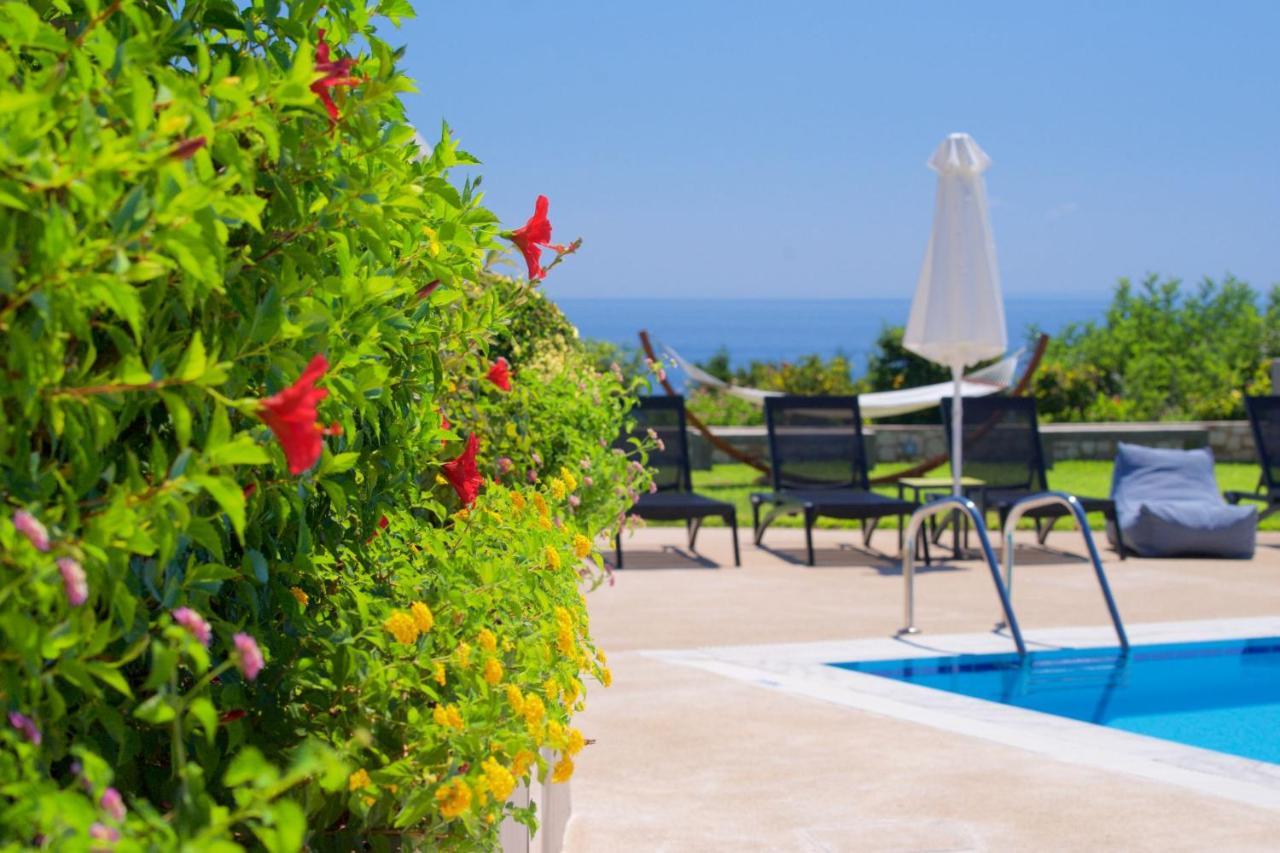 Blue Jasmine Hotel Skala (Kefalonia) Exterior foto