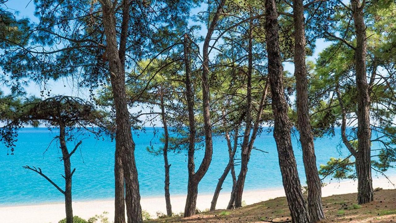 Blue Jasmine Hotel Skala (Kefalonia) Exterior foto